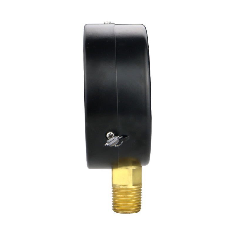 100mm NPT1/2 Dry Pressure Gauge with Iron Shell and Copper Connector Precision 1.6%