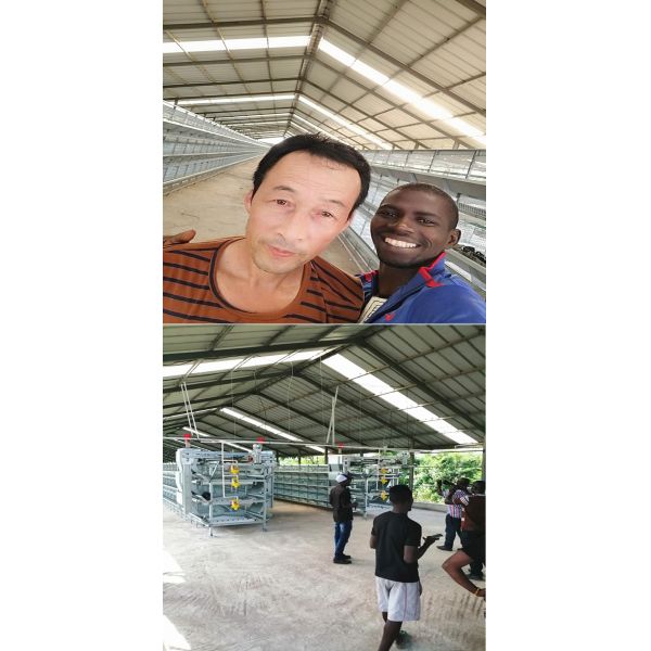 Автоматическая клетка цыпленка батареи птицы птиц кладя куриц 54 для птицефермы