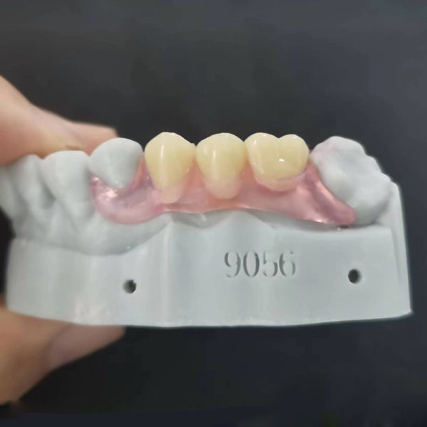 Invisible Valplast Flexible Denture Removable For Oral Restorations