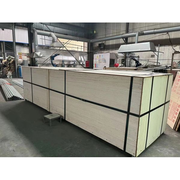 PE Plastic Film Poly Tunnel Greenhouse Single Span For Tomato Vegetable Flower