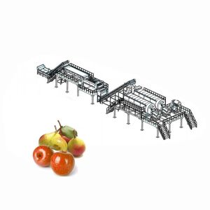 Lifting Apple Grading Fruit Processing Equipment For Classifying