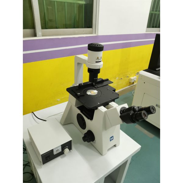 LIB-305 перевернуло микроскоп Trinocular биологический с бесконечной оптической системой