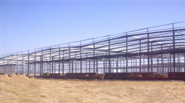 Construção da construção de aço da logística da altura 12.5m