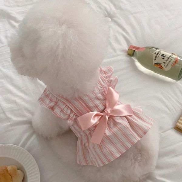 OEM Coupe pour chien en microfibre d'été imperméable réglable holographique