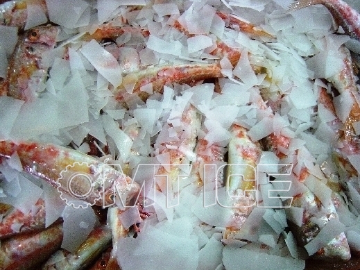 400kg Commercial Ice Flaker Machine With Ice Storage Bin And Siemens PLC Control System