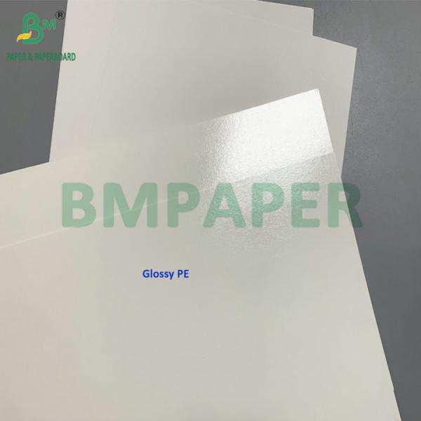 C1S 275gsm + 15gsm PE Frozen Cardboard For Shrimp/Fish Packaging Box