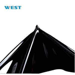 TPU PPF Paint Protection Film Roll Eco Friendly Safety Stain Resistance