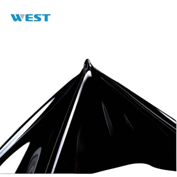 TPU PPF Paint Protection Film Roll Eco Friendly Safety Stain Resistance
