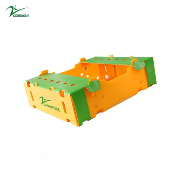 6mm 8mm Asparagus Correx Packaging Boxes Mango Coroplast Storage Boxes