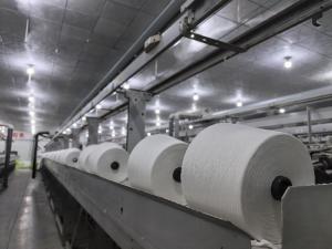 Wuxi Delicate Textile Technology Co ., Ltd .