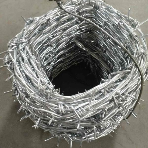 Safety Galvanized Barbed Wire Fence Wide Range Barbed Wire Pvc Coated