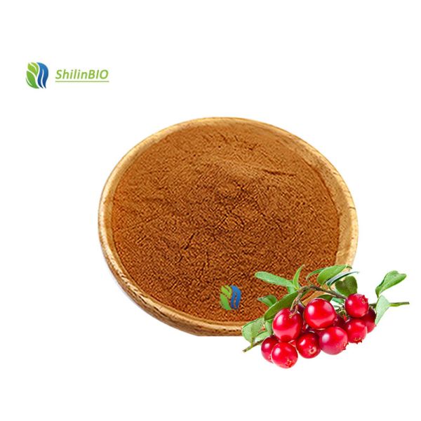 High Quality 10:1 20:1 Schisandra Chinensis Extract Powder Schizandrin