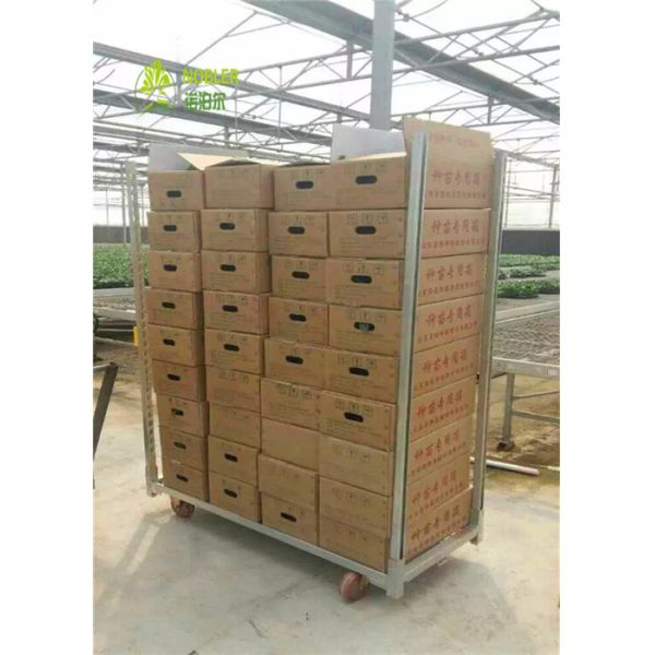 Шкаф бассейна металла вагонетки цветка и цветка завода голландский для контейнера Кк парника