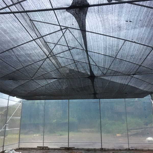 Тоннель полиэтилена парник сброса Sawtooth 6 Mil пластиковый покрывая верхний