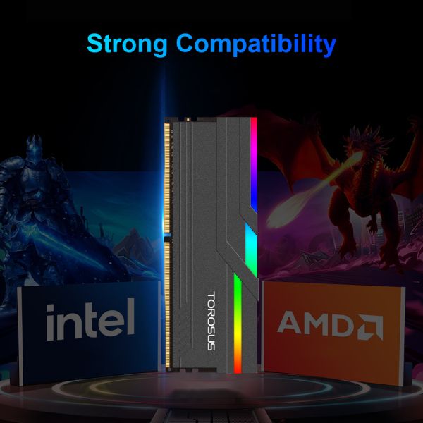 TOROSUS RH51 DDR5 Memory RGB Heat Sink Series