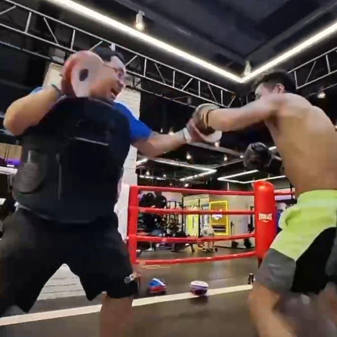 Custom Logo Boxing Body Pad