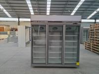 Degelo comercial ereto do automóvel do congelador da porta do líquido refrigerante R290 R404a 3
