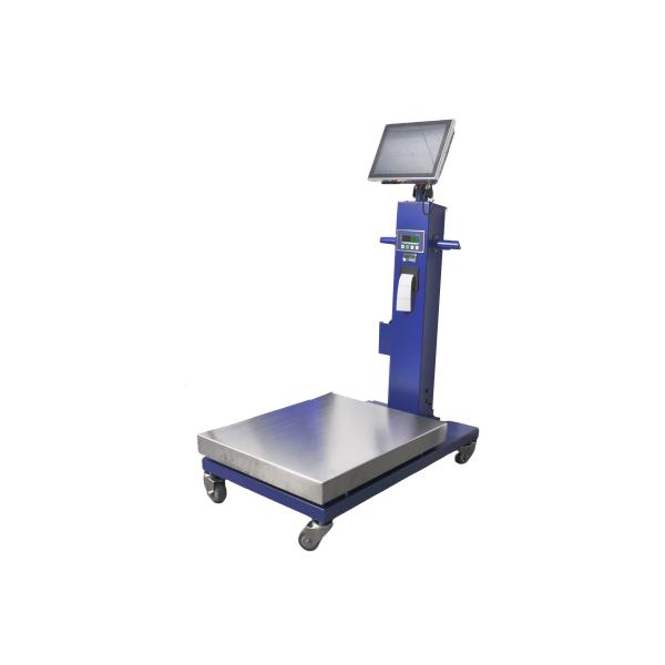 ITS Series Platform Scale  Stable Reading Commercial Daily Weighing Scenarios