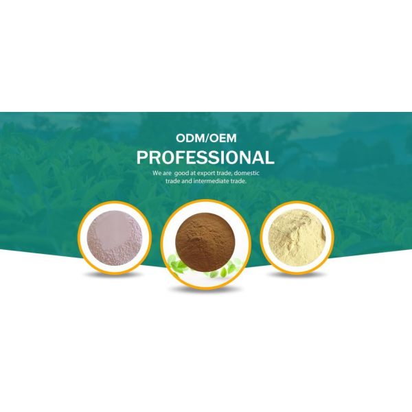 Pure Natural Xylitol Formula C5h12o5 for Direct Distribution