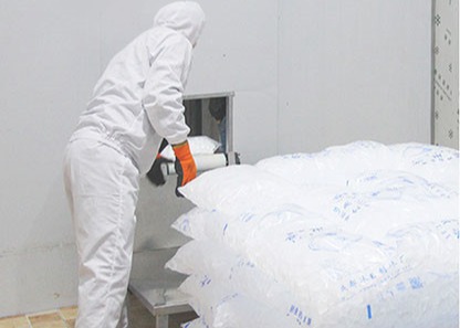 Комната сумки льда холодная Refrigerated прогулка хранения льда в замораживателе