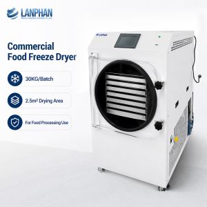 2.5M2 High-Capacity Vacuum Freeze Dryer for Long-Term Food Preservation