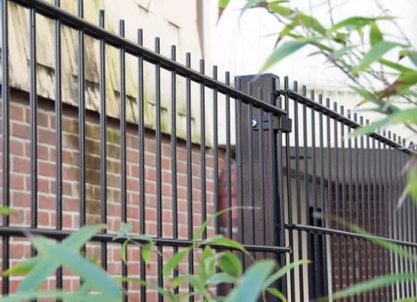Welded PVC Coated Wire Mesh Panels 50 X 200mm 868 Mesh Fencing