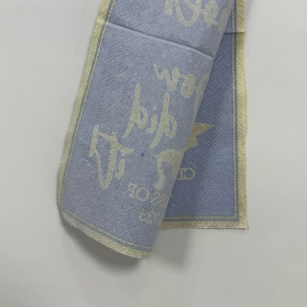 Blue Paper Dinner Napkins 33*33cm Toile Paper Napkins For Bridal Garden Birthday