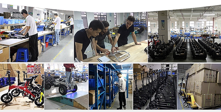 Chongqing Huanhong Trading Co., Ltd.