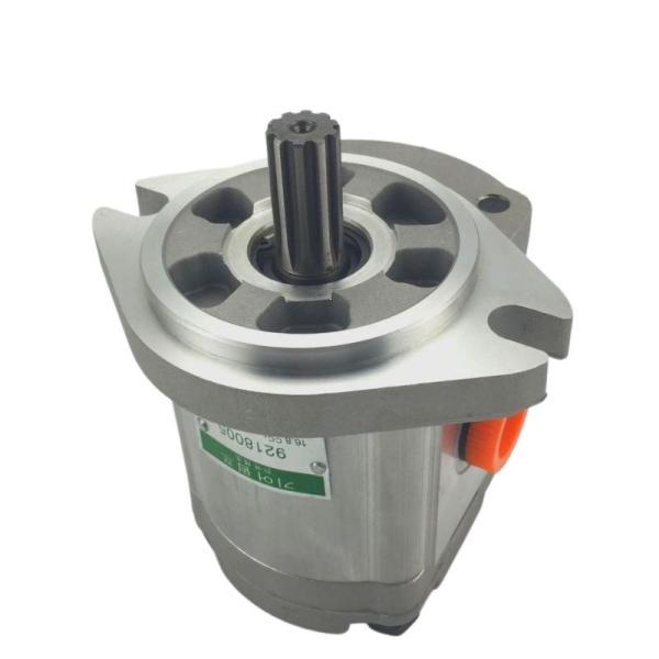 Hydraulic Gear Pump Excavator ZAX350-3 EX200-1 Pilot Pump Engine Part 4181700 9217993 Spare Parts