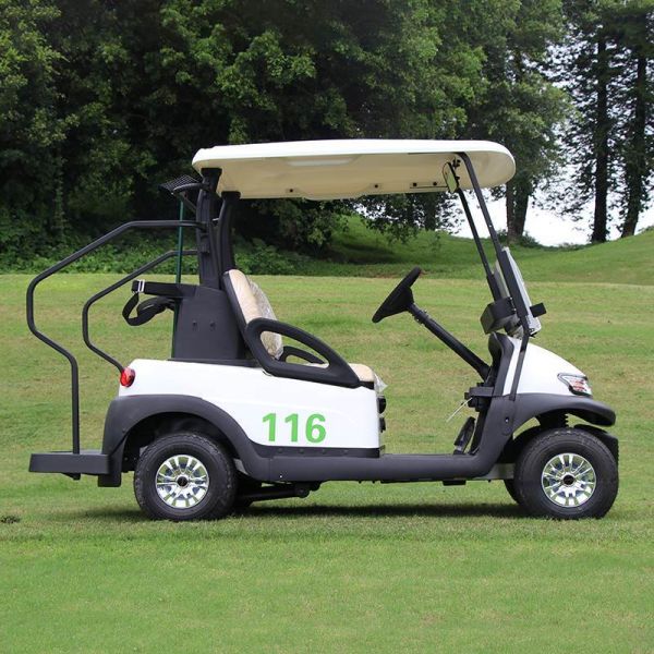 2 Passengers Electric Golf Buggy With 30% Climbing Capacity And 35KM/H Speed