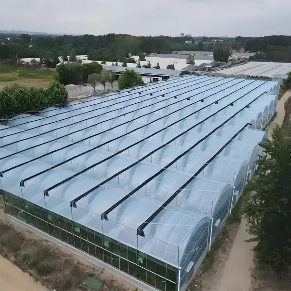 Polycarbonate Greenhouse for Strawberry Substrate Culture Customized
