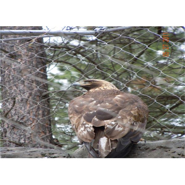 酸の抵抗力がある0.1mの幅のステンレス鋼のフェルール ロープの網