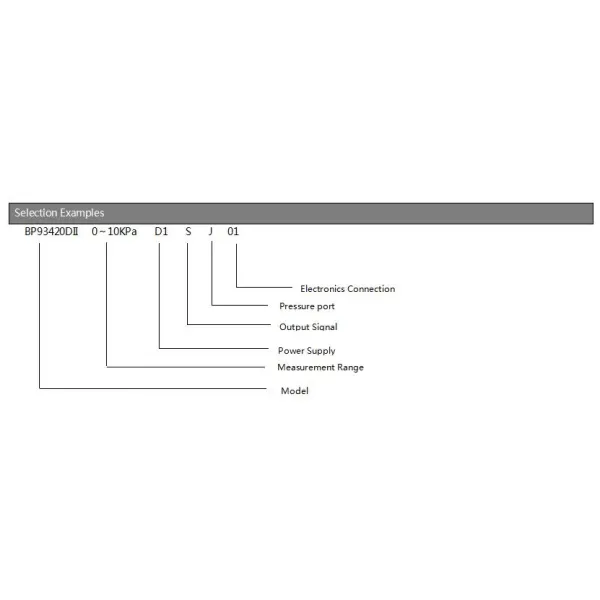 IP65 Protection Stainless Steel Differential Pressure Transmitter for Level Measurement Differential Sensor