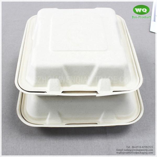 Green And Energy 8*8 And 9*9 Inch1-Compartment, Compostable Clamshell, Natural Bagasse Take-Out/To-Go Food Boxes