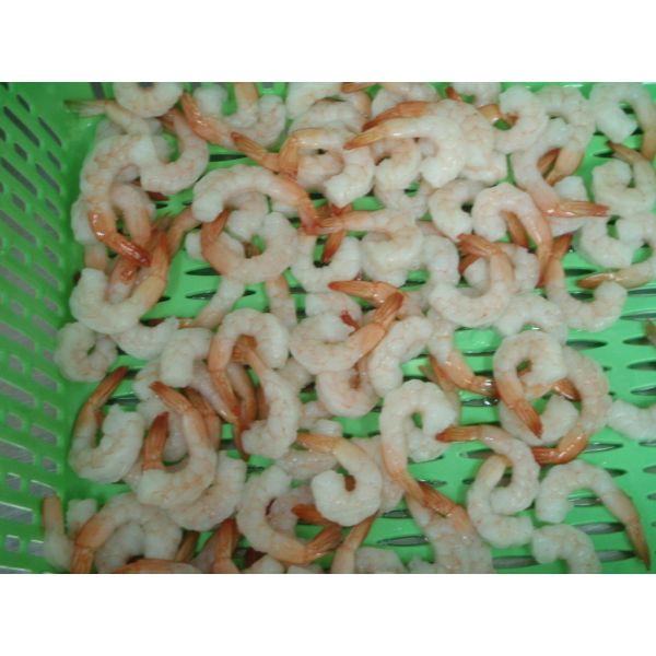 Креветка Хосо безглавой замерли безопасностью, который сырцовая без добавок/консервации