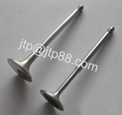 Válvula del motor diesel del coche EH100 para las piezas del motor de Cumins 13711-1200A 13715-1350A