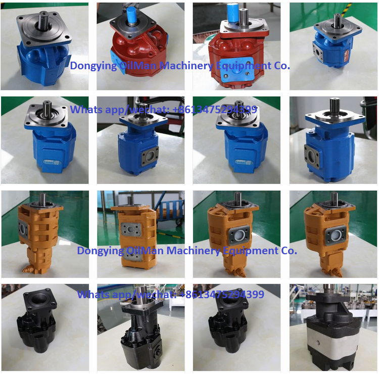 Водяная помпа погружающийся XCMG XGMA гидравлическая, насос с зубчатой передачей Liugong гидравлический