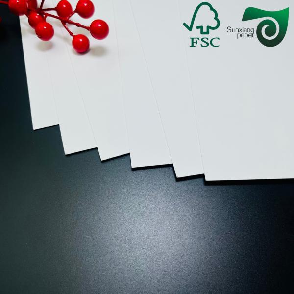 250gsm Single-Sided Coated Freezer Paper Roll  420μM  Food Packaging
