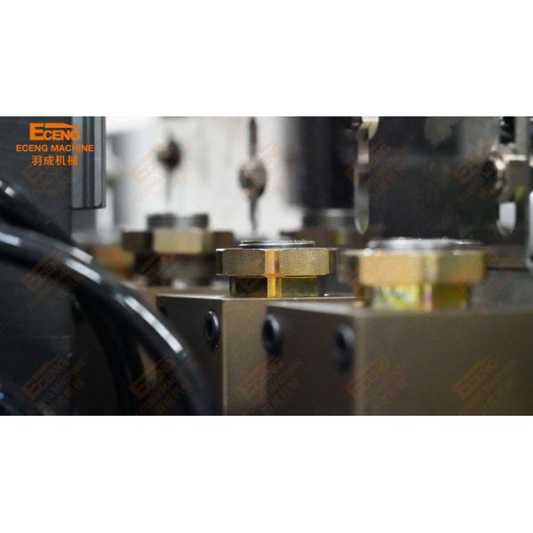 Fully Automatic Blow Moulding Examples Equipment High Output