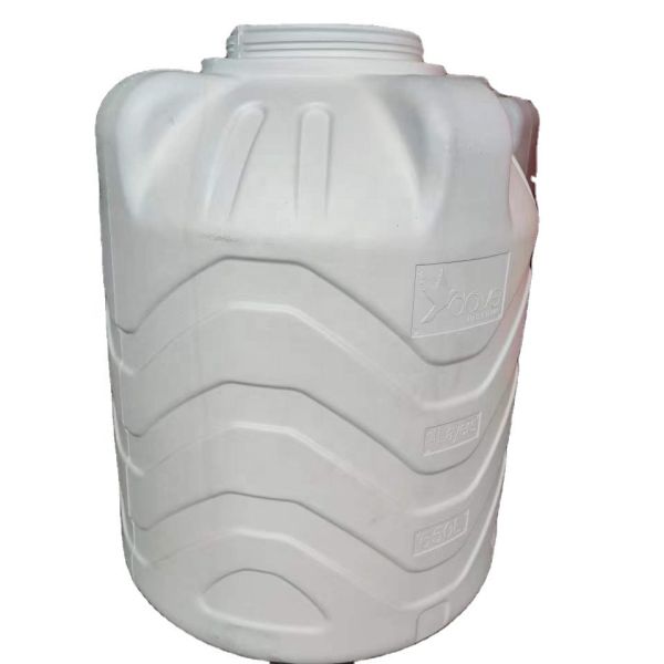 500kg/h Plasticizing Capacity 2000L Dual-Layer Blow Molding Machine for Modern Plastic Manufacturing