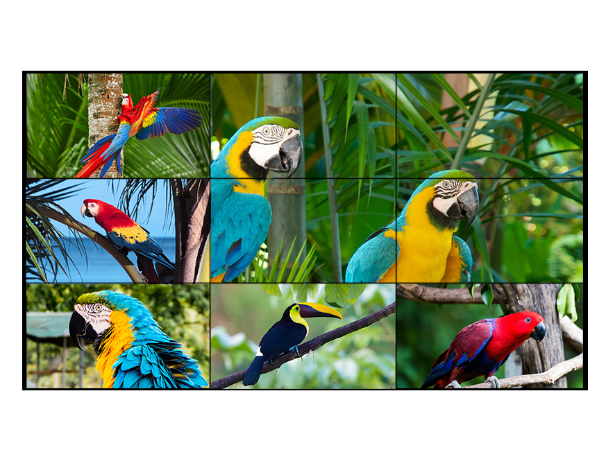 мониторы Лкд стены безшовного 1.8мм шатона 200В видео-