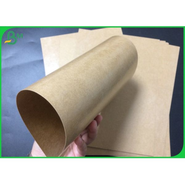 Poly petit pain enduit de papier d'emballage de catégorie comestible 300gsm 350gsm à la nourriture Tray Making