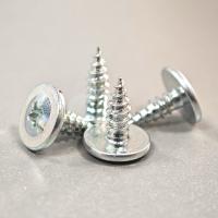 M2.5 Galvanized White Self Tapping Screws With Aluminium Finish Cadmium Plated