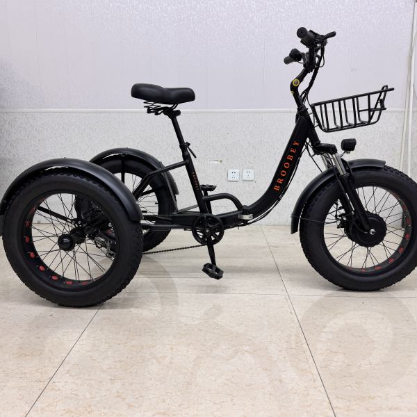 Triciclo de movilidad de 3 ruedas para adultos, asiento individual, cuerpo