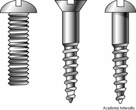 wood screw