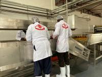 Cadena de producción modificada para requisitos particulares de la pulpa del mango de 10T/H SS