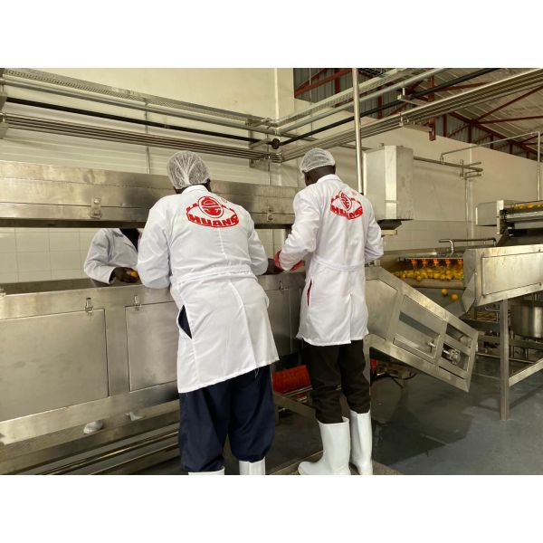 Customized 10T/H SS Mango Pulp Production Line