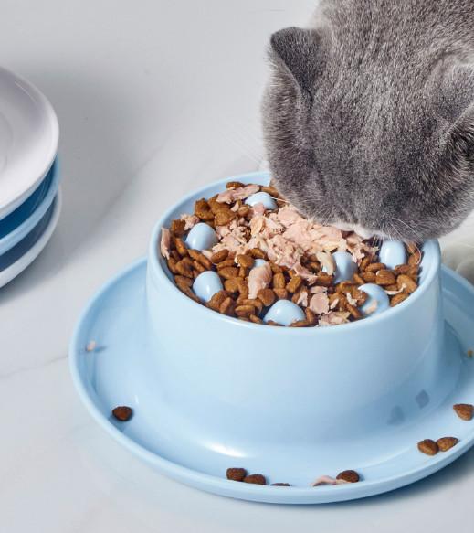 Bacia lenta cerâmica aumentada do animal de estimação para os gatos e os cães pequenos que alimentam a estação