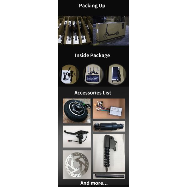 Men and Women T8 Road 800W Motor Aluminum Scooters with 10 Inch Tire from Warehouse
