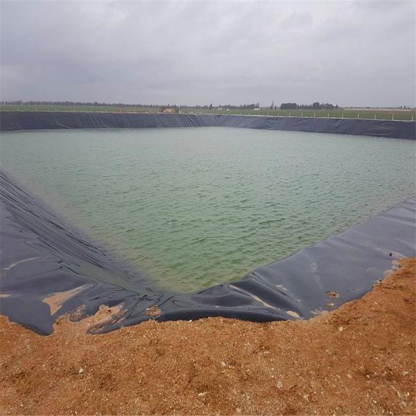 0.2mm-3mm Thickness HDPE Geomembrane for Pond Liner and Biofloc Tank